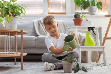 Evdeki küçük şirin bahçıvan sulama bitkisi.