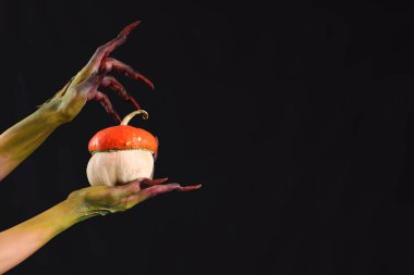 Siyah arka planda balkabağı olan bir cadı. Cadılar Bayramı