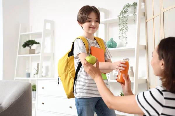 Mother giving apple and bottle of juice to her son for school