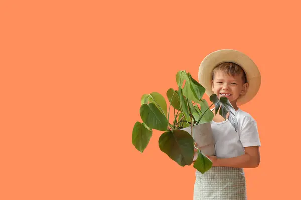 Turuncu Arka Planda Bitkileri Olan Sevimli Bir Bahçıvan — Stok fotoğraf