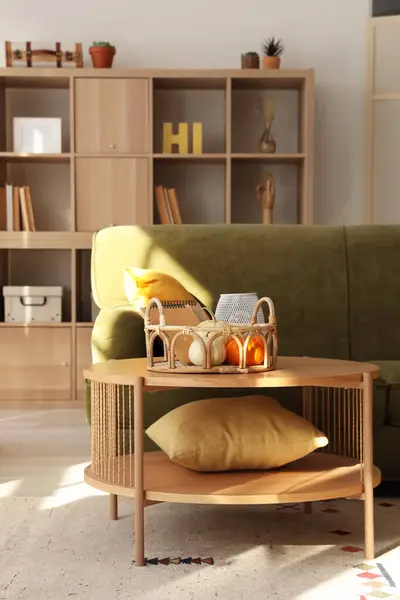 stock image Interior of living room with green sofa and pumpkins