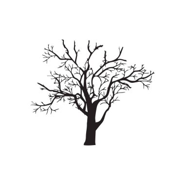 beyaz zemin üzerinde çıplak ağaca