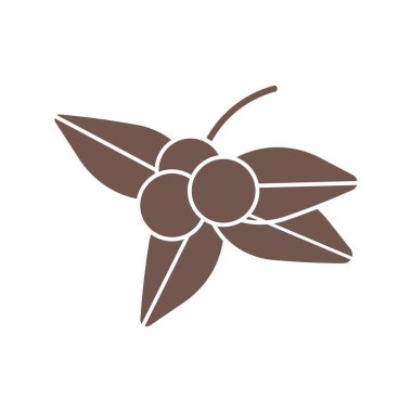 Beyaz arka planda yaprakları olan dutlar