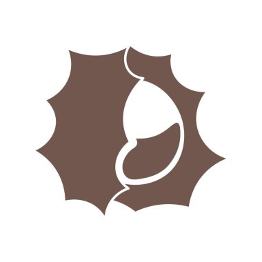 Beyaz arkaplanda dikenli kestane