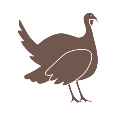 Beyaz arka planda şirin bir hindi