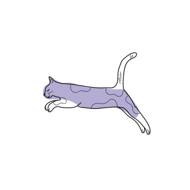 Beyaz arka planda sevimli zıplayan kedi.