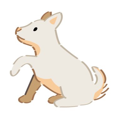 beyaz zemin üzerinde komik köpek yavrusu