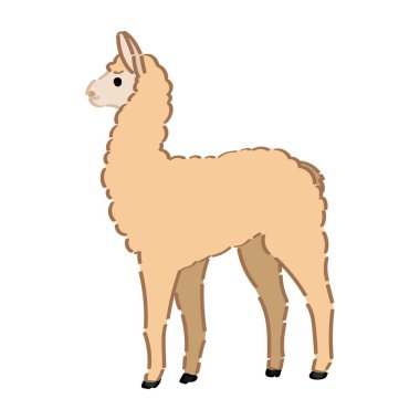 Beyaz arkaplanda bebek alpakası