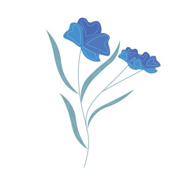 beyaz zemin üzerinde güzel mavi çiçekler