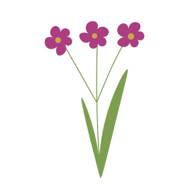 Beyaz arkaplanda güzel çiçekler