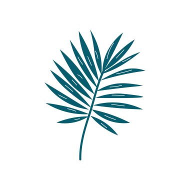 Beyaz arkaplanda tropik palmiye yaprağı