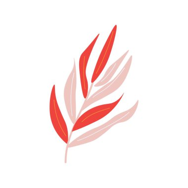 Beyaz arkaplanda pembe tropikal dal