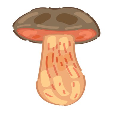 Beyaz arkaplanda taze mantar