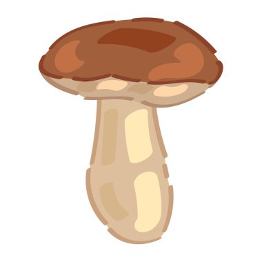 Beyaz arka planda olgun mantarlar