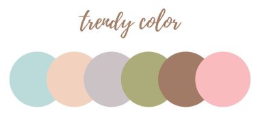 Beyaz arkaplanda grafik tasarımcısı için renk örnekleri kümesi