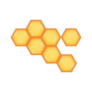 Beyaz arkaplanda tatlı bal tarakları