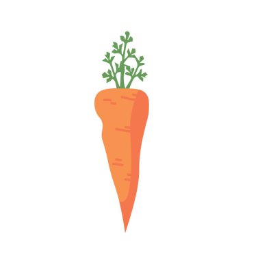 Beyaz arkaplanda turuncu havuç