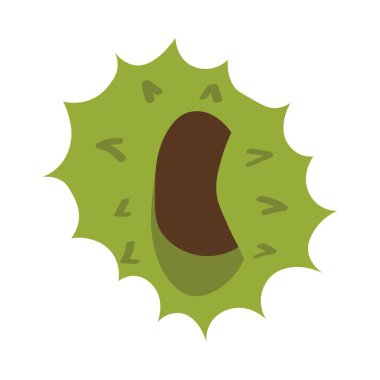 Beyaz arka planda taze kestane