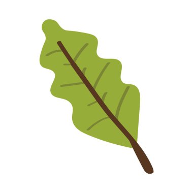 beyaz zemin üzerinde sonbahar yaprak yeşil