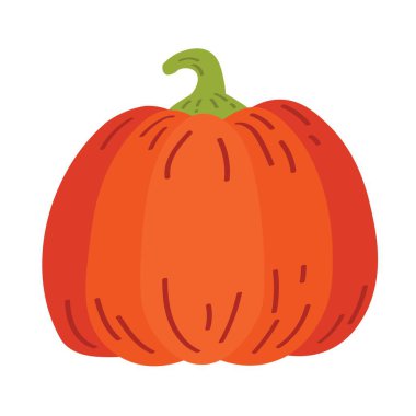 Büyük Balkabağı beyaz zemin üzerine