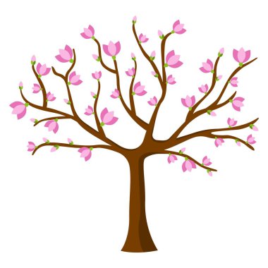 beyaz zemin üzerine çiçek açan ağaç