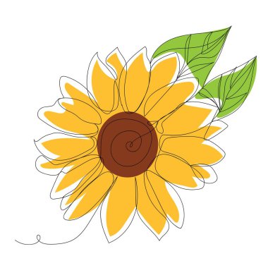 Beyaz arka planda güzel bir ayçiçeği