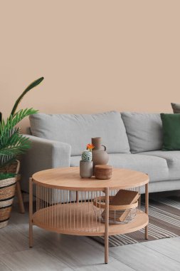 Kahve masası vazo, kaktüs ve kitap oturma odasında sepette.