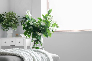 İçinde yasemin çiçekleri olan vazo, yatak odasının iç tarafındaki bankta.