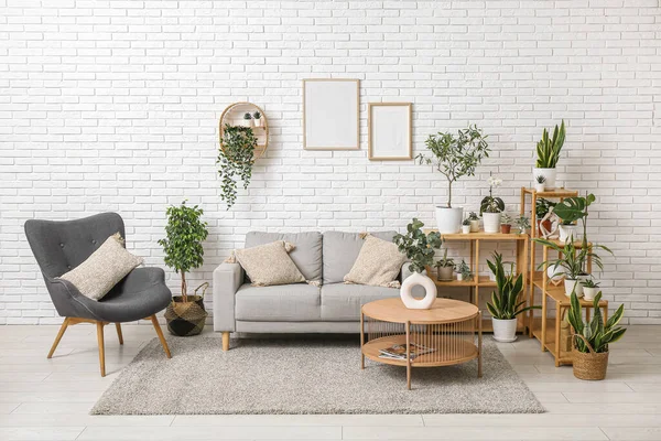 Interior of modern living room with grey sofa, coffee table and different houseplants