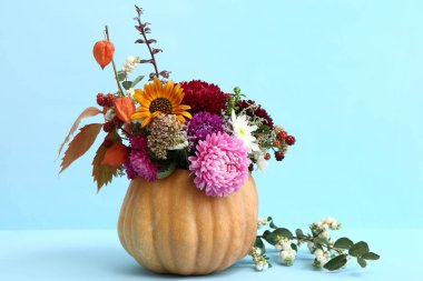 Mavi arka planda balkabağında güzel bir sonbahar buketi