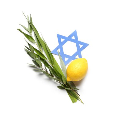 Dört tür (lulav, hadas, arava, etrog) beyaz arkaplan üzerinde kağıt David yıldızı olan Sukkot festivali sembolleri