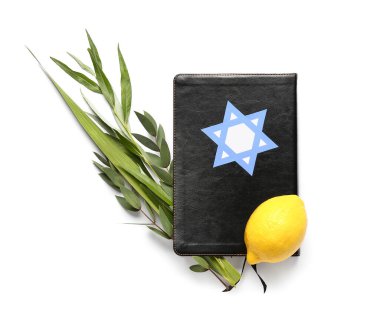 Dört tür (lulav, hadas, arava, etrog) beyaz arka planda Sukkot festival sembolleri ve Tevrat olarak