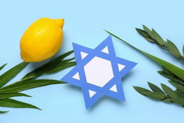 Dört tür (lulav, hadas, arava, etrog) Sukkot festival sembolleri ve mavi zemin üzerine kağıt David yıldızı