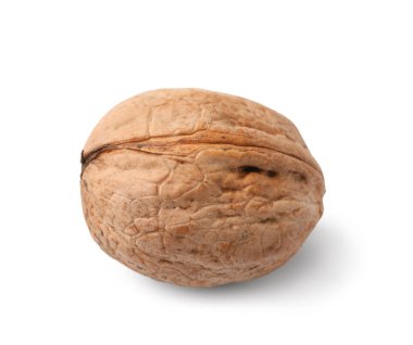 beyaz zemin üzerine bütün ceviz