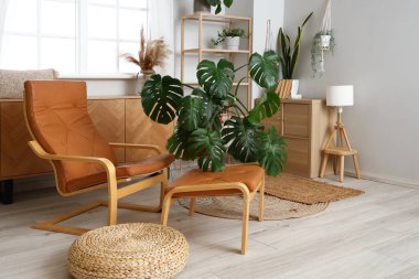 Yeşil ev bitkileriyle eko tarzı bir oda.