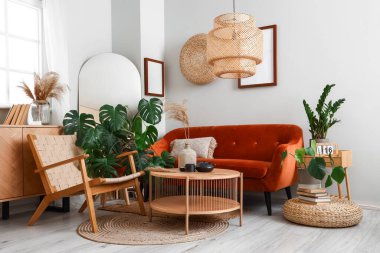 Yeşil ev bitkileriyle eko tarzı modern odanın içi