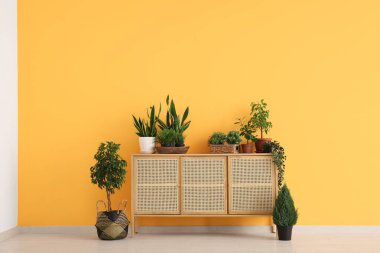 Portakal duvarının yanında çiçekli modern çekmeceler.