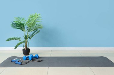 Spor aletleri, cep telefonu ve spor salonundaki mavi duvarın yanındaki spor minderinde palmiye ağacı.