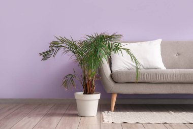 Leylak duvarının yanında beyaz yastıklı gri kanepe