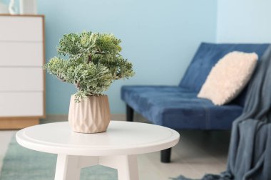 Oturma odasındaki sehpanın üzerinde süs ağacı olan tencere, yakın plan.