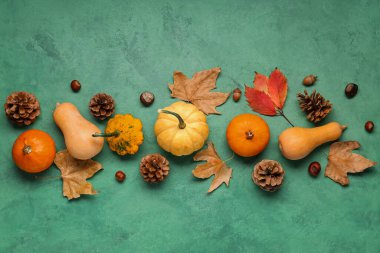 Yeşil arka planda kestane, koni ve sonbahar yapraklı taze balkabakları
