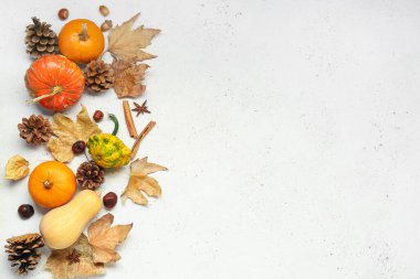 Beyaz arka planda farklı baharat, koni ve sonbahar yapraklı taze balkabakları