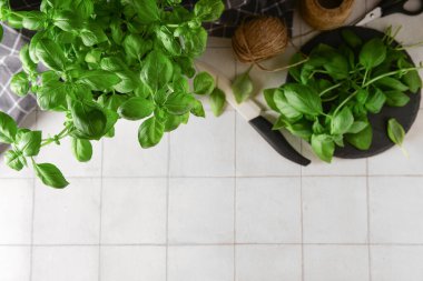 Beyaz fayanslı taze yeşil fesleğen tabağı