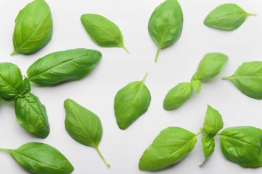 Gri arkaplanda taze yeşil fesleğen