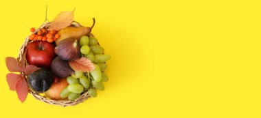 Hasat edilen meyveler hasat sepetinde sarı arkaplanda ve metin için yer var