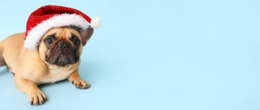 Açık mavi arkaplanda açık mavi şapkalı şirin köpek.