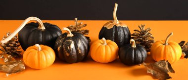 Turuncu arka planda balkabakları, koniler ve sonbahar yaprakları. Cadılar Bayramı