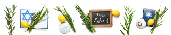 Set Sukkot Festival Symbols White Background — Stock Photo, Image