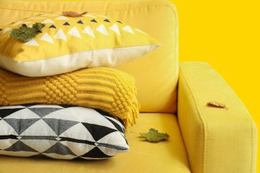 Sarı duvarın yanında yumuşak yastıklı ve sonbahar yapraklı Koltuk