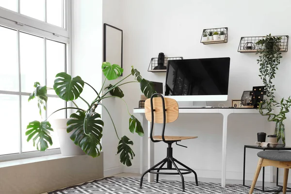 Interior of light office with modern workplace and houseplants